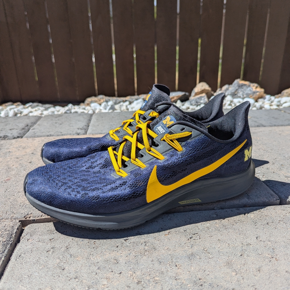 Nike Pegasus University Of Michigan Shoes